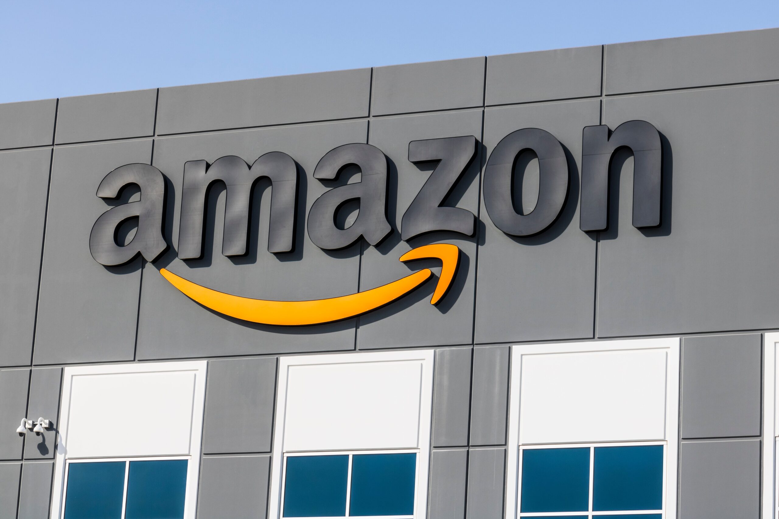 Amazon pauses DEI program, joins growing list of companies cutting back on diversity efforts