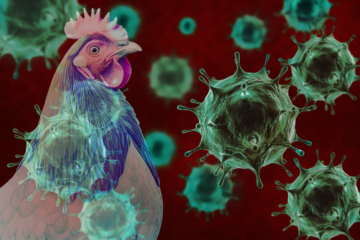 Louisiana reports first U.S. death from bird flu