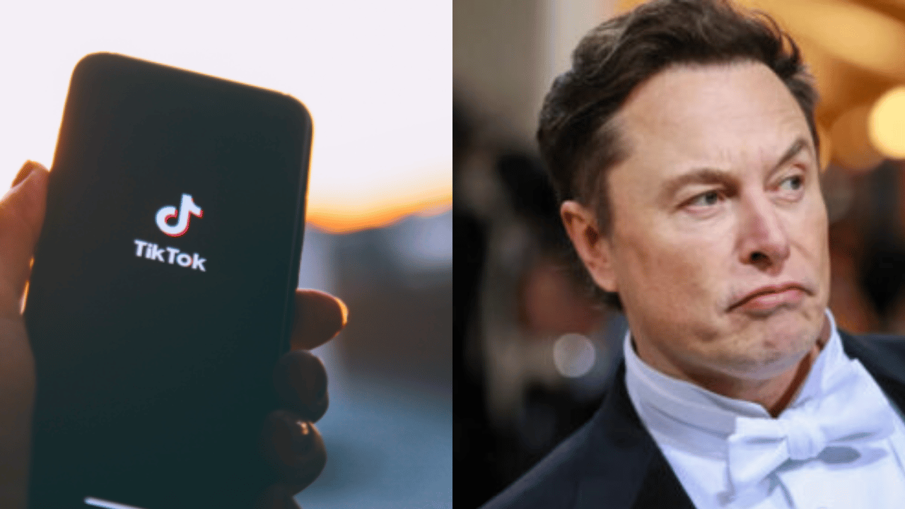 TikTok calls viral report of possible Elon Musk acquisition 'pure fiction'