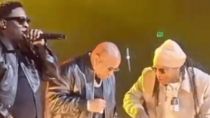 Birdman seems to fall asleep on stage during the Hot Boys Tour stop (Video)