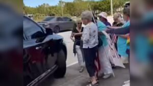 Man drives car to protesters outside Tesla dealership in Florida, no injuries reported (video)